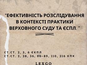 Ефективність розслідування в контексті практики Верховного суду та ЄСПЛ