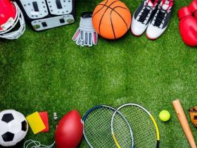 Тривалість та порядок надання відпусток для підготовки та участі у спортивних змаганнях: Закон набирає чинності