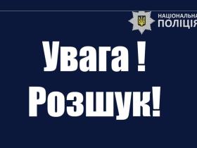 В Україна оголосили Міндіча та Цукермана в розшук