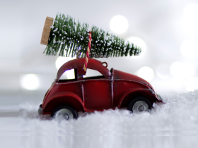 Ялинка на новорічні свята: яка відповідальність за незаконний зруб