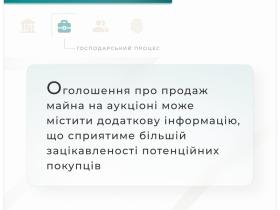Оголошення про продаж майна на аукціоні може містити додаткову інформацію для потенційних продавців