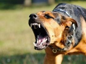 Особиста безпека у сучасних умовах: практичний погляд на засоби самозахисту