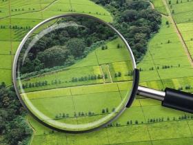 Право власності на землю: що може стати перешкодою в повноцінній реалізації такого права