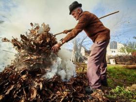 Спалювання сухої рослинності та листя: яке передбачене покарання для порушників