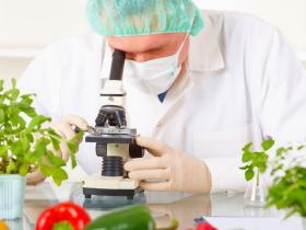 Уряд запускає цифрову систему послуг у сфері безпечності харчових продуктів: деталі