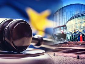 ЄСПЛ не замінює національні суди, але перевіряє, чи не є їхні рішення свавільними або явно необґрунтованими