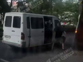 В Одесі представники ТЦК викрали собаку та травмували її: поліція розпочала кримінальне провадження