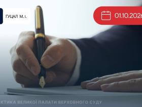Право державного/приватного виконавця на звернення до суду із позовом