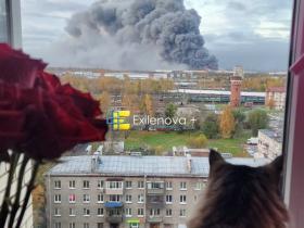 Масштабна атака дронів на Санкт-Петербург та Ленінградську область: уражено нафтовий термінал, OZON, міст і дата-центр
