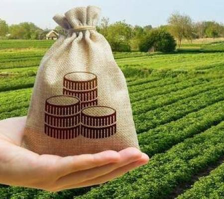 Пільги зі сплати податків та зборів за землі на яких ведуться (велися) бойові дії або тимчасово окупованих РФ