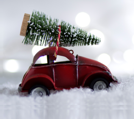 Ялинка на новорічні свята: яка відповідальність за незаконний зруб