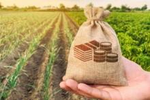 Депутати пропонують змінити правила купівлі землі: на які зміни чекати та у кого можуть конфіскувати пай