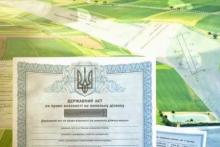 До 1 січня 2025 року всі власники або спадкоємці земельних паїв повинні оформити право власності на свої ділянки