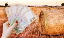 Топ-5 регіонів України, де найдорожча вартість землі