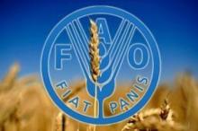 В Україні відкриють офіс Продовольчої організації ООН