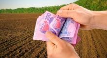 Відновлення продажу землі з торгів та інші нововведення, прийняті Верховною Радою
