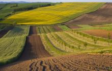 Скільки землі продали в Україні з початку повномасштабної війни?