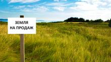 За період війни в Україні укладено 34 тис. земельних угод, - Мінагрополітики