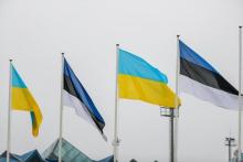 У Естонії виникли проблеми з розміщенням українських біженців: деталі