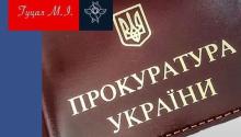 Підтвердження судом підстав для представництва прокурором інтересів держави