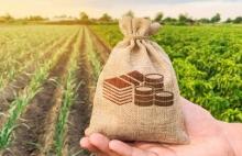 Як в Україні оформити право власності на земельний пай і що буде якщо не зробити це до 2025 року?