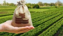  Хто звільняється від сплати земельного податку у 2023 році?