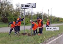  «Бавовна в Белгороде»: когда начнется масштабное контрнаступление Украины?