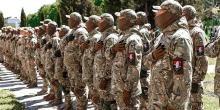 Здійснення діяльності ДФТГ та чи підлягають призову на строкову службу добровольці: судова практика