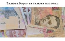 Валюта боргу та валюта платежу