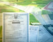 Реєстрація земельного пая: до 1 січня 2025 року потрібно оформити право власності (відео)