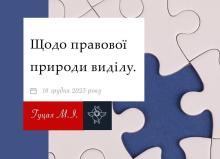 Щодо правової природи виділу