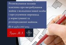 Розмежування позовів власника про витребування майна з володіння іншої особи і усунення перешкод у користуванні