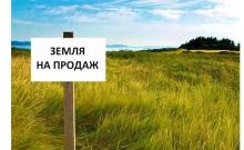 Розпочався другий етап аграрної реформи: що відбувається на ринку землі і від чого залежить вартість гектару?