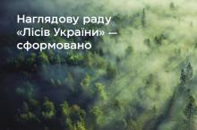 Уряд сформував наглядову раду Держкомпанії «Ліси України»: хто туди увійшов?