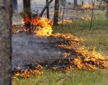 У Міндовкіллі нагадали, чому не можна спалювати сухе листя і траву і яка можлива відповідальність за такі дії