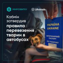 В Україні затверджено офіційні правила перевезення тварин у автобусах - деталі