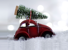 Ялинка на новорічні свята: яка відповідальність за незаконний зруб