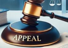 Повторне подання апеляційної скарги у стислий строк після її повернення з усуненням недоліків