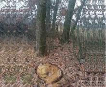 Десятирічний сусідський булінг: драма на Кролевеччині