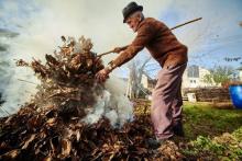 Спалювання сухої рослинності та листя: яке передбачене покарання для порушників