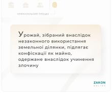 Урожай, зібраний внаслідок незаконного використання земельної ділянки, підлягає конфіскації