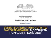 Постріли поліції на автомагістралі: як ЄСПЛ оцінив дії бельгійської поліції 