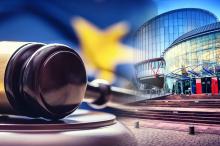 ЄСПЛ не замінює національні суди, але перевіряє, чи не є їхні рішення свавільними або явно необґрунтованими