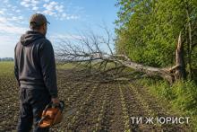 Щоб спиляти сухостій або прибрати чагарник, тепер потрібен дозвіл?