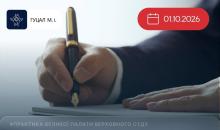 Право державного/приватного виконавця на звернення до суду із позовом