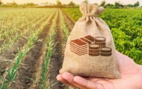 Депутати пропонують змінити правила купівлі землі: на які зміни чекати та у кого можуть конфіскувати пай