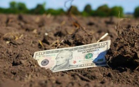 Купівля-продаж землі: у скільки обійдеться укладання угоди?