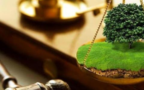 Затвердження проекту землеустрою щодо відведення земельної ділянки - позиція суду