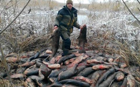 Різниця між штрафом і таксами за порушення правил вилову біоресурсів (інфографіка)