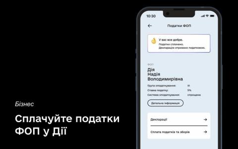 ФОПи 1-3 груп можуть сплатити податки через ДІЮ: послуга знову стала доступной